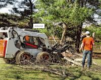 Burbank Tree Professionals image 1
